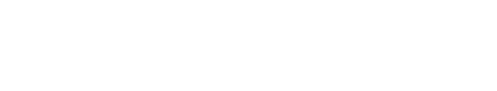 Website title